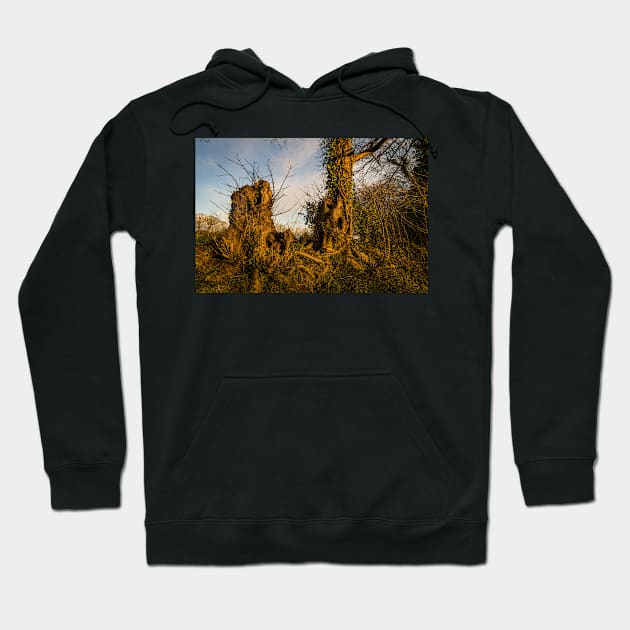 Crooked Forest - 2011 Hoodie by SimplyMrHill